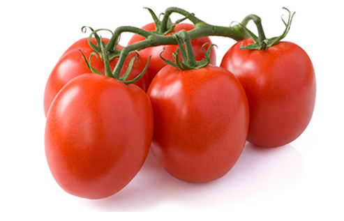 tomate chonto