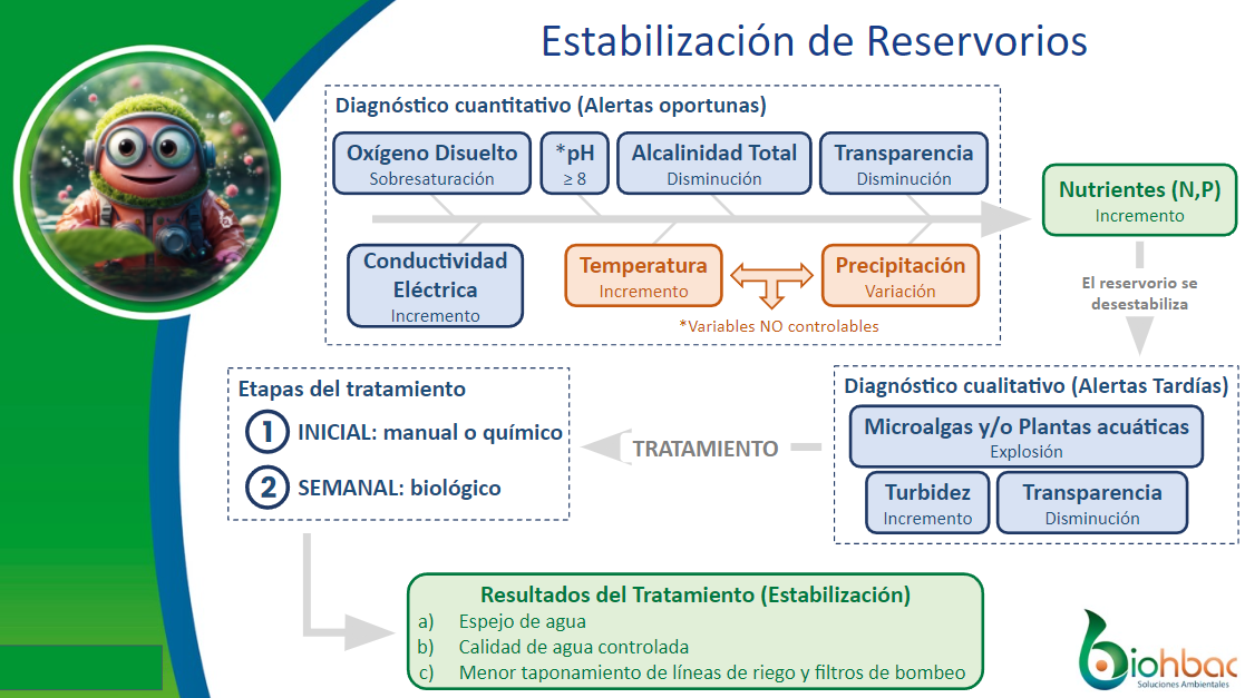 Diagrama del proceso